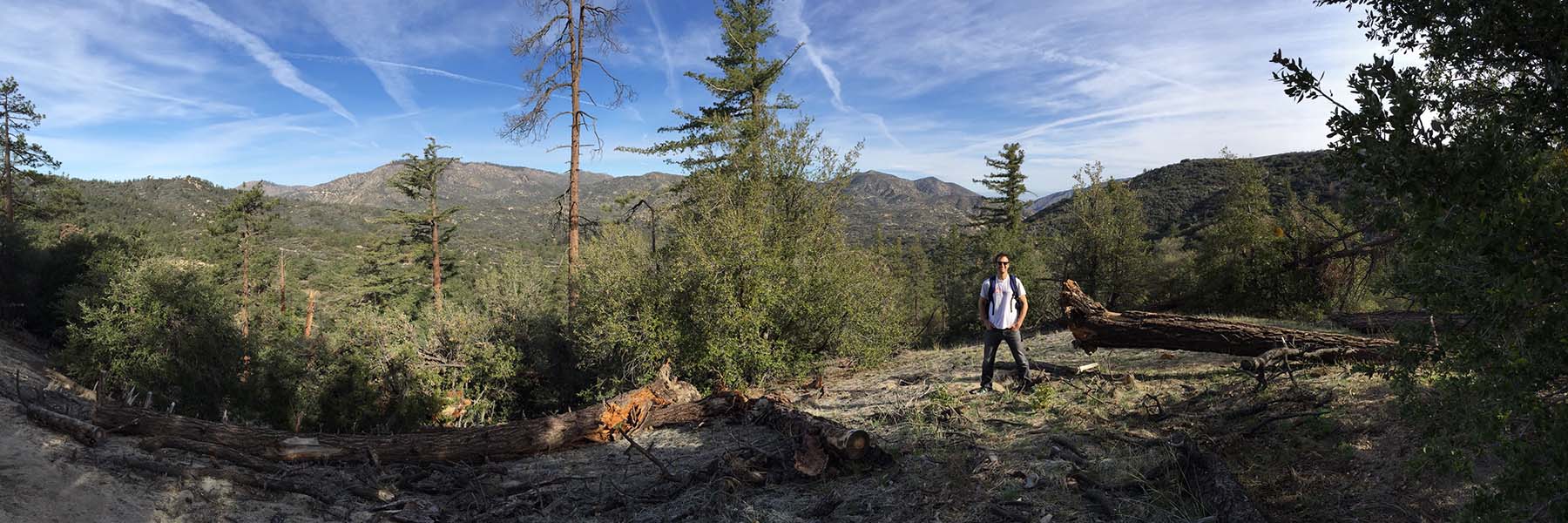 Rich Phillips stands at the top of a mountain with more mountains, pine forests, and blue sky behind him.