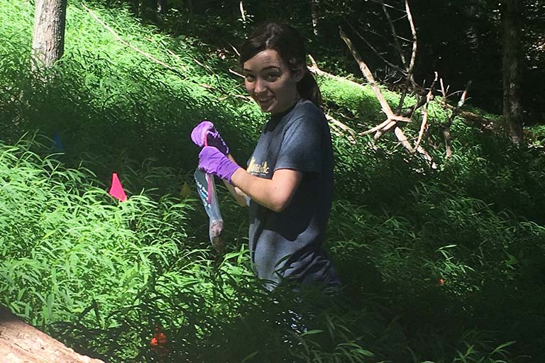 A woman collects a soil sample in a plastic bag from a grassy (Stilt grass?) opening in the forest.