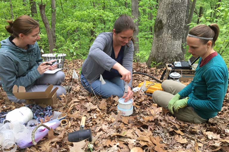 Three woman sit on the brown leaves of the forest floor while one is mixing something in a test tube and another is recording data on her notepad.