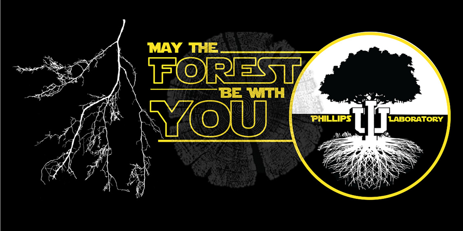Phillips Lab logo:  A gray cross section of a tree trunk is in the center of a black background.  To the left of the cross section are white tree roots.  To the right is the silhouette of a tree and its roots within a yellow-bordered circle.  The top half of the circle is white; the tree silhouette is black.  The bottom half of the circle is black; the roots silhouette is white.  A white IU block logo forms the tree trunk and expands into the roots.  Just below the horizontal center of the circle in yellow are the words PHILLIPS (left of the tree) LABORATORY (right of the tree).  In the middle of the logo overlaying the gray tree trunk cross section in yellow lettering similar to that seen in the Star Wars movie is the sentence:  May the forest be with you.
